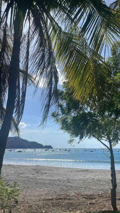 Beautiful Front Entire Coco